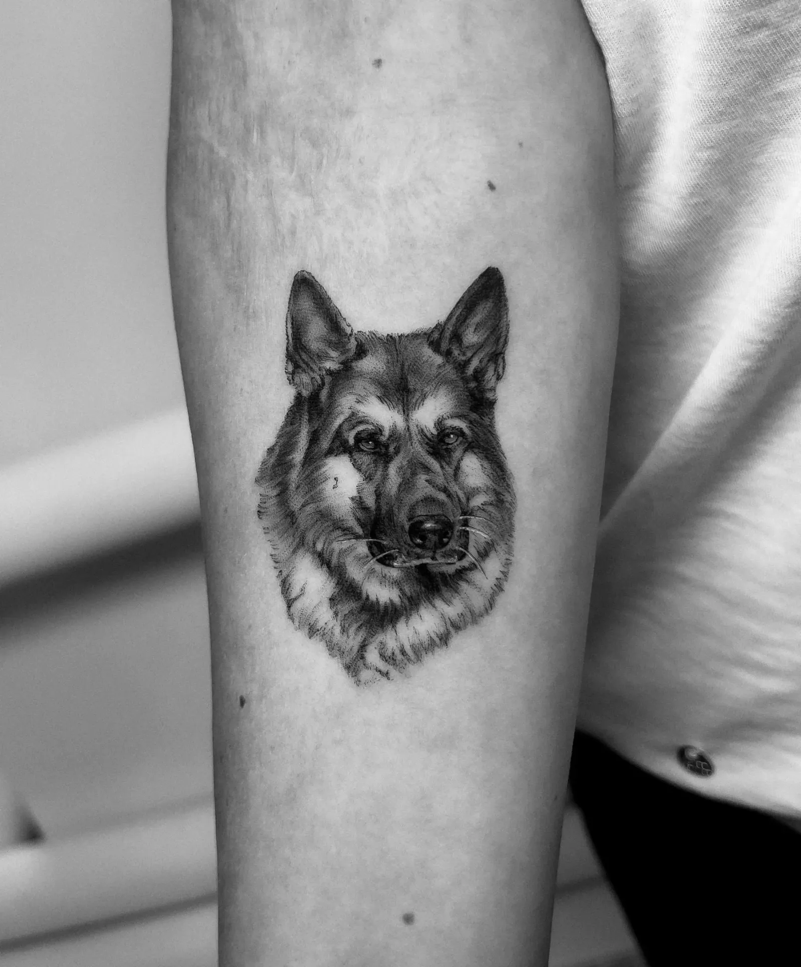 Tattoo 11: shepherd dog on the forearm