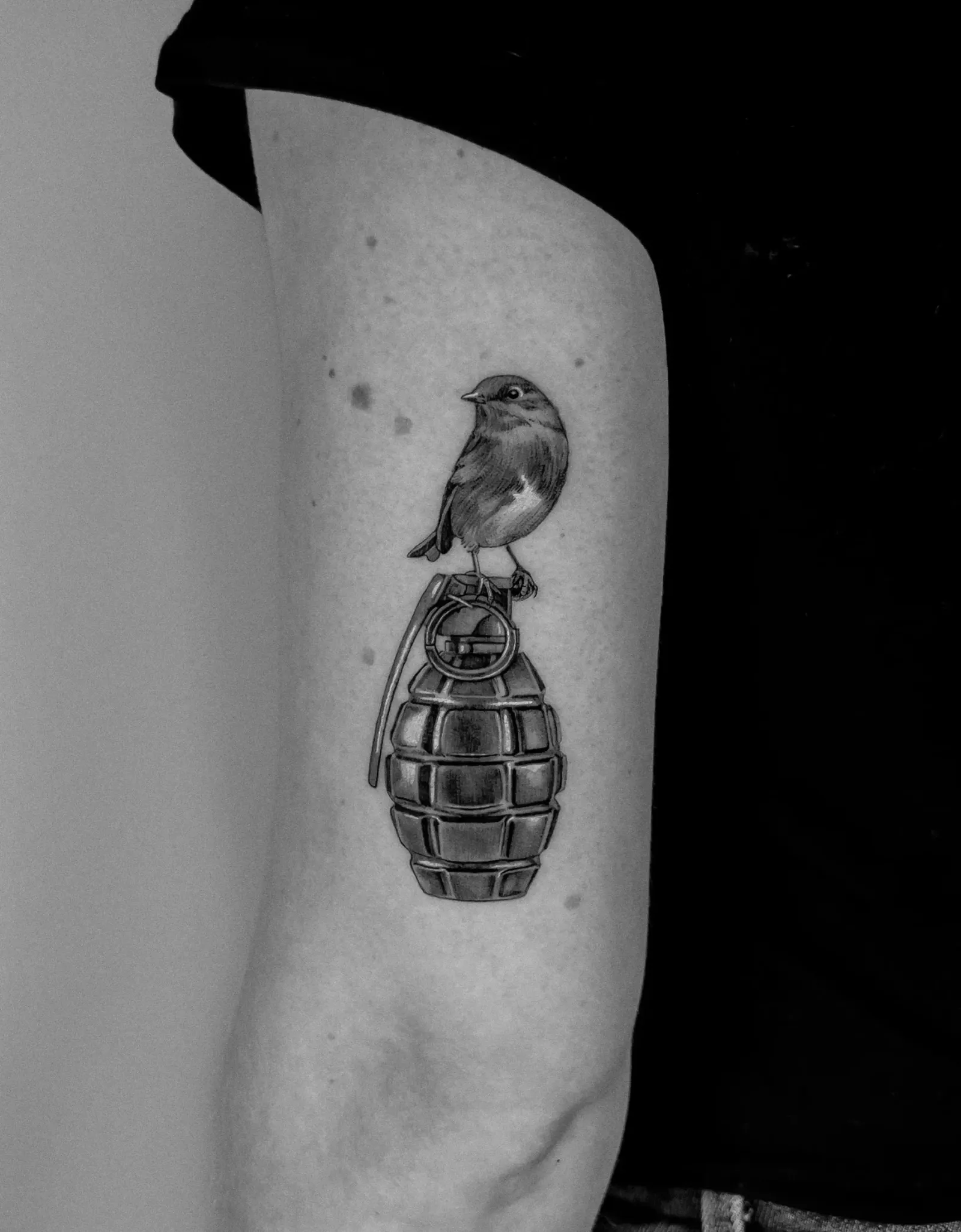 Tattoo 15: robin on a grenade, upper arm